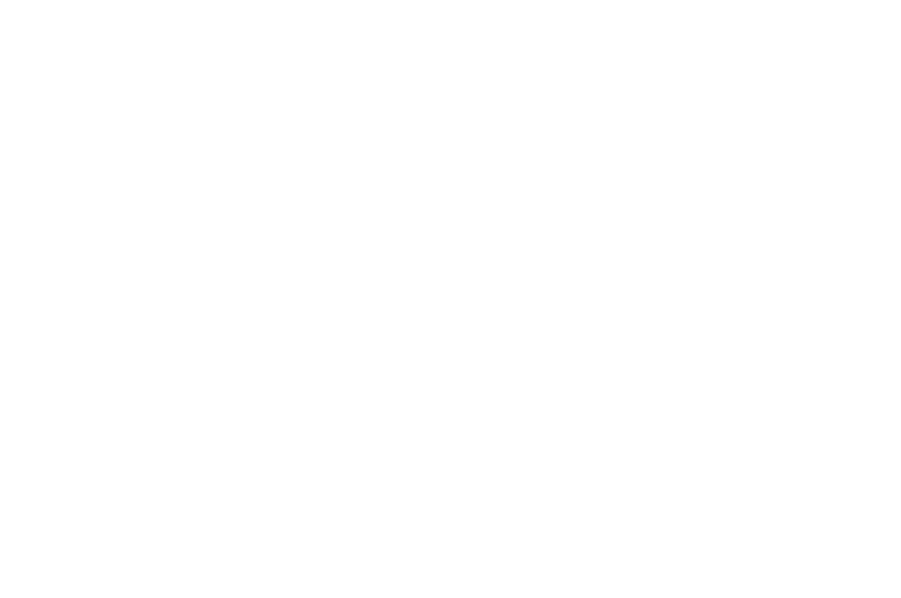 Official Selection. Northeast Film Festival 2026.
